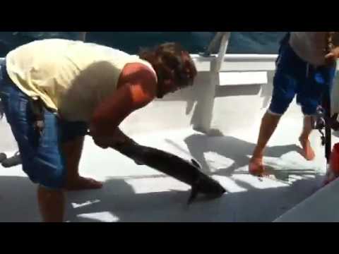 Fishing in Stuart Florida!!!!