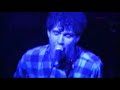 Animal-Collective-Fi
