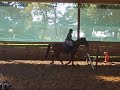 olimpique et moi en saut