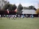 albatros rugby club