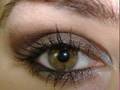 AMY LEE~ evanescence SEXY smouldering make up tutorial inspired look