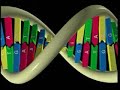 Evolution Deceit: Complexity of Living Cells [3/8]