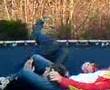 bro's in melsen