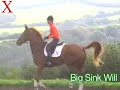 Big Sink Will from Exmoor Eventing