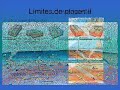 PLACAS TECTONICAS POWER PLACAS TECTONICAS POWER