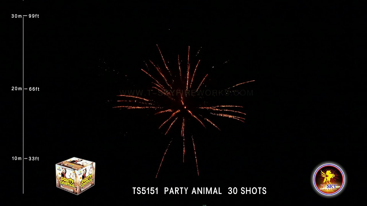 Party Animal TS5151