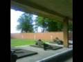 L85 (SA80) Shooting