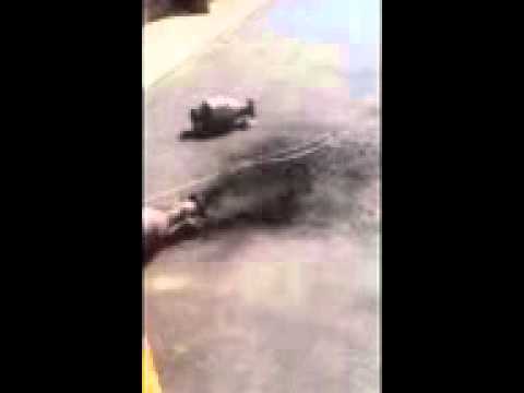 how to unclog dpf filter