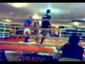 videos de bout #67 muay thai