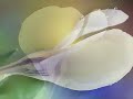 Vajra Guru Mantra - ВАДЖРА ГУРУ МАНТРА
