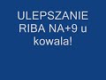 ULEPSZANIE RIBA NA +9 i OTWIERANIE RYB