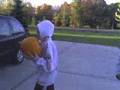 Fall harvest