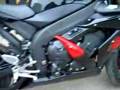 R1 Devil Red and Black 