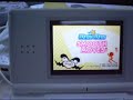 Wii on Nintendo DS Lite
