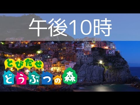 動画