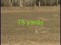 Prarie Dog Hunting / Shooting 2