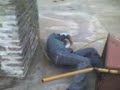 la caida de Maez