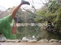 お茶犬