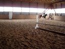 Roxie: For Sale -Video 3