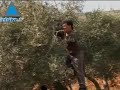Infolive.tv: Tensiones entre Israel y Gran Bretaña por plane