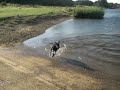 Harvey\ Harvey\