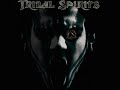 Tribal Spirits - Possessed (with live images)