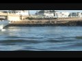 Belmar, N.J. Party Boat Fishing Fleet