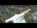 Samir Nasri - Arsenal\ Samir Nasri - Arsenal\