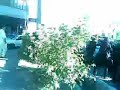 people support and release Iranian girl under attack of brutal Police in Tehran.درگیری زن ایرانی با مزدوران رژیم در خیابان و حمایت مردم
