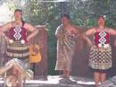 Maori tribal performance clips