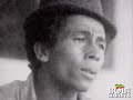commemorating the 30th anniversary of bob marley's album exodus