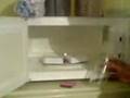 videos de plasma en el microondas