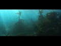 Natural Selection Trailer