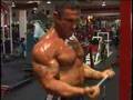 MostMuscular-Com-Dav