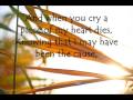 City And Colour - The Girl - Lyrics