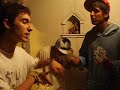 PipiixStyle, perroh, Ekiz tono freestyle