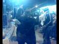 videos de Carnaval!