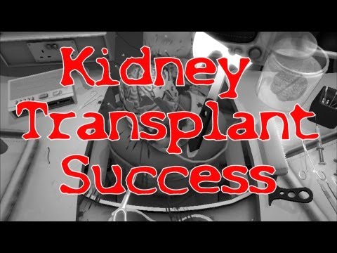 how to transplant kidney with video