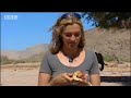How African elephants beat the heat in the desert and support the community - BBC wildlife