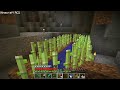 three ravines (and one double ravine), three spawners, and a sprawling abandoned mine? this is madness! - charity - - - - - 