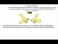 How to make Wudu the shia way according to the Quarn