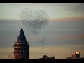 Ard?� - DeLi R�zg�r ( AYRILIK SLAYT )