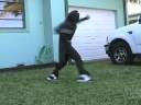 Fighting Florida\ Fighting Florida\