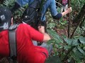 rafael nagao caindo na viagem de jureia