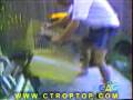 videos de bobo balo