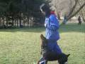 videos de Caribbean Blue A. A.