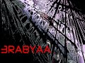 TAMER 3ASHOR TASLAM