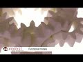 3D Systems - Selective Laser Sintering 3D Systems - Selective Laser Sintering