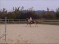 Dance with horses