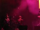 Deerhunter